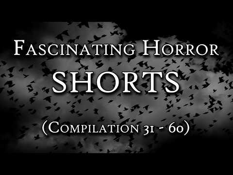 COMPILATION: Fascinating Horror Shorts 31 - 60 | Fascinating Horror
