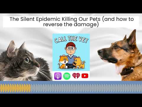 The Silent Epidemic Killing Our Pets (and how to reverse the damage)