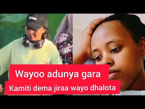 Wayoo Dhalotan Kana Jirenyii Nama Gara Kamitii Dema Jira Safuu Wani Jedhan Nama Walilichisa