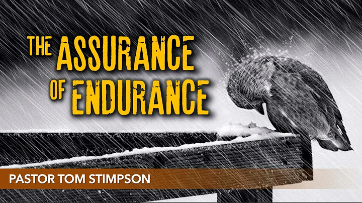 The Assurance of Endurance by Tom Stimpson