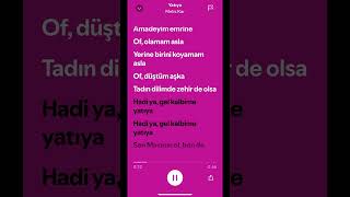 Yatıya - Melis Kar (Lycris) Resimi