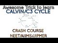 Simplest Trick to Learn Calvin/C3 Cycle for NEET/AIIMS/JIPMER | Crash Course for NEET