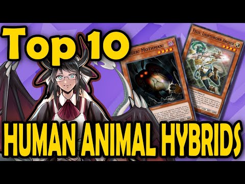 yugioh stairway to the destined duel god cards Salamandra - Stairway to the Destined Duel - YuGiOh