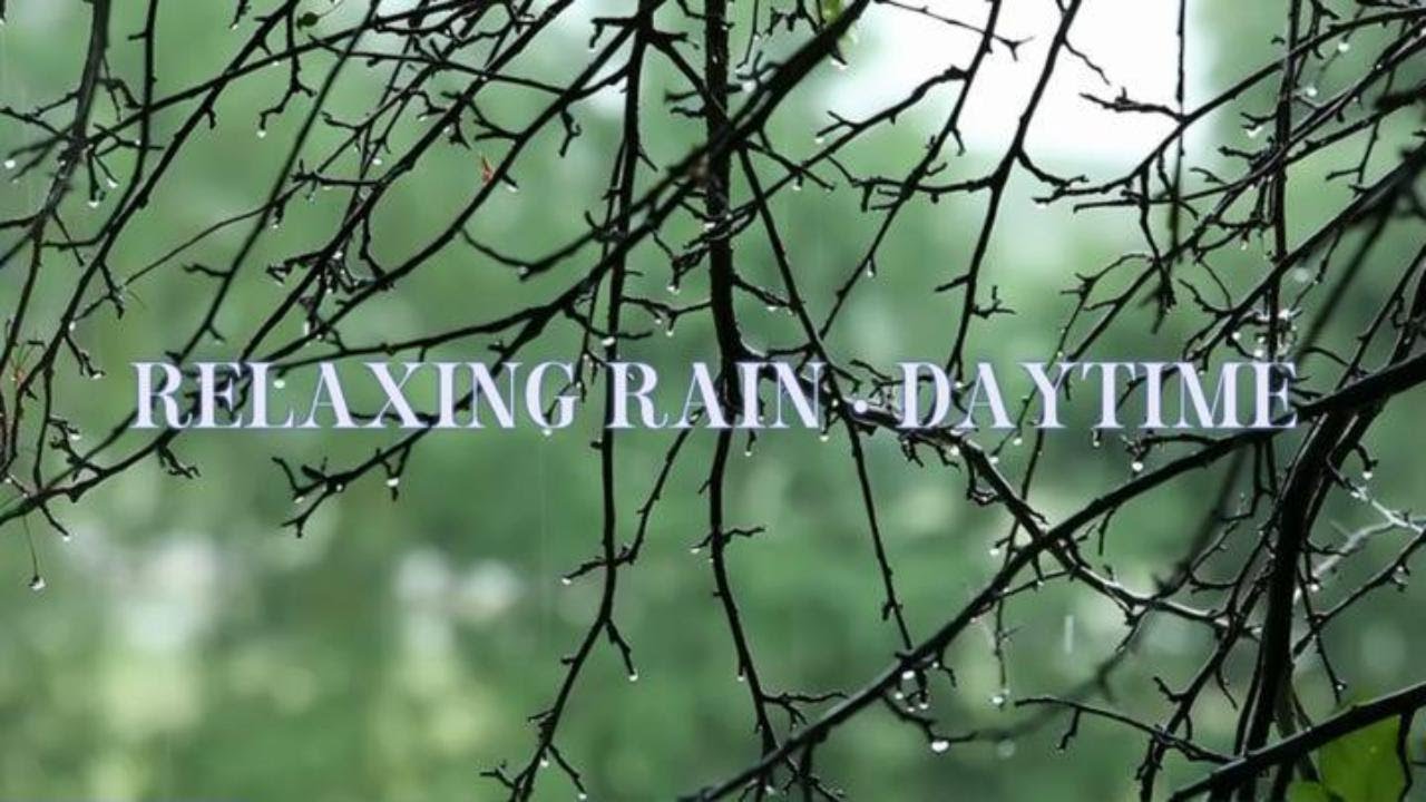 Relaxing Day Rain Sounds • 1 Hour of Soothing Nature Ambience