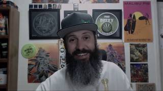 Announcements!  .....and a dab.