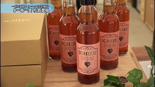 「一苺一笑松森農場」をご紹介！津波被害にあった山元町のいちご農家が今年オープン！４０分練乳つきで食べ放題！一粒ほお張れば笑顔になること間違いなし！【ハシュカリ#464 一苺一笑松森農園】