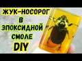 Жук - Носорог в Эпоксидной Смоле ● Настольный Сувенир DIY ● Насекомые в смоле