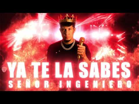 Ya te la sabes - Señor Ingeniero (Audio Oficial) - Visualizer