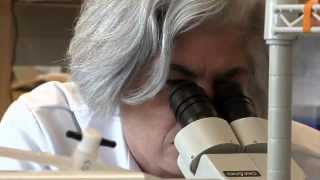 Healthbreak: Jill Tardiff, MD, PhD