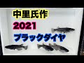 【メダカ】ブラックダイヤ2021