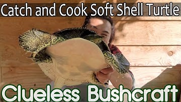 Catch and Cook a Soft Shell Turtle