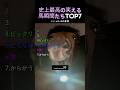 史上最高の笑える馬瞬間たち2弾TOP7
