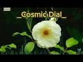 "Cosmic Dial" "No. 124" "Md. Naimul Islam | AI Studio" "Song" "English Song" "Music" "AI Song"