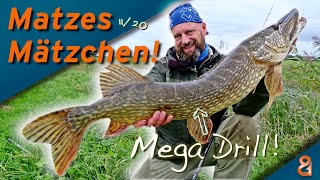 Matze Koch: Hecht! Stellfisch mit der Köfirute! - Matzes Mätzchen 11-2020