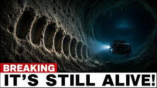 Scientists Found Bite Marks on the Wall of an Underwater Cave Then They Saw What Made Them