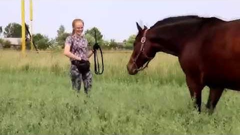 для конкурса клуба EquiFlow