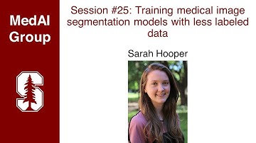 MedAI Session 25: Training medical image segmentation models with less labeled data | Sarah Hooper