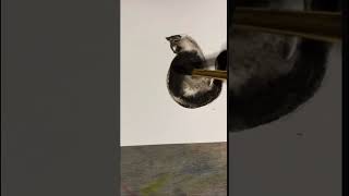 “Simple Cat” #art #artist #cats #loosewatercolouranimals #artdemo #watercolour #tutorial