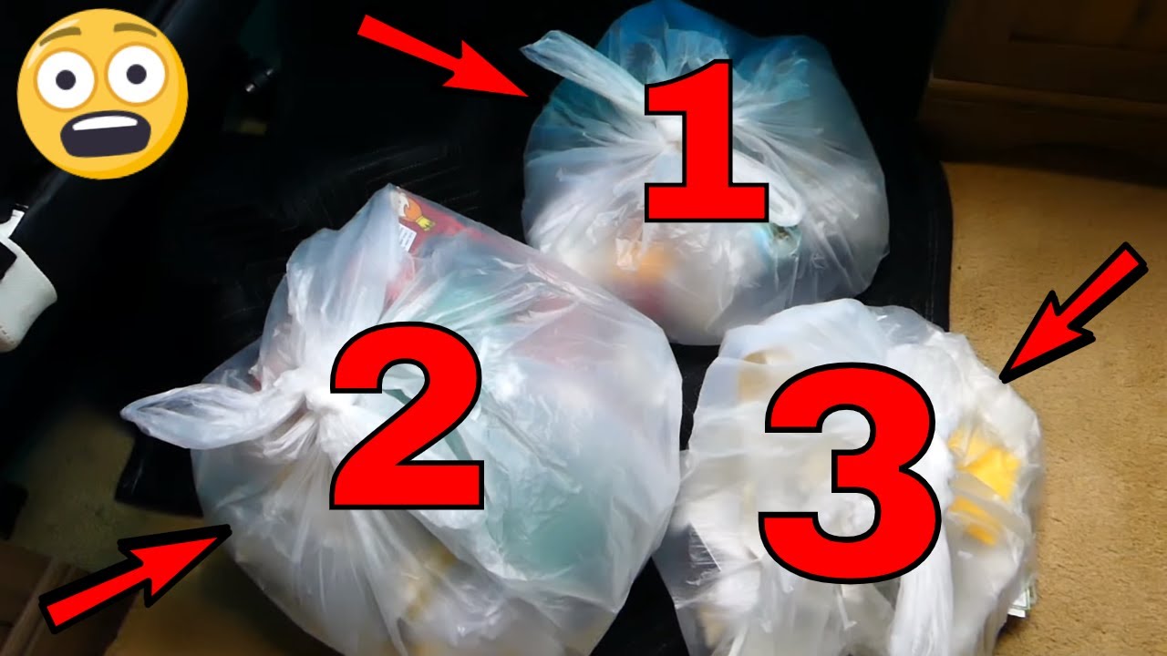 Three AMAZING Gamestop BAGS!!! Gamestop Dumpster Dive Night 754 YouTube