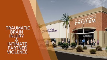 Traumatic Brain Injury and Intimate Partner Violence