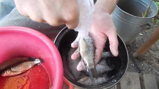 Легкий способ засолить рыбу(Подробности в материале http://pg13.ru/relax/view/232., 2014-07-14T08:40:36.000Z)