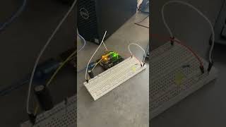Assignment 1 Circuits