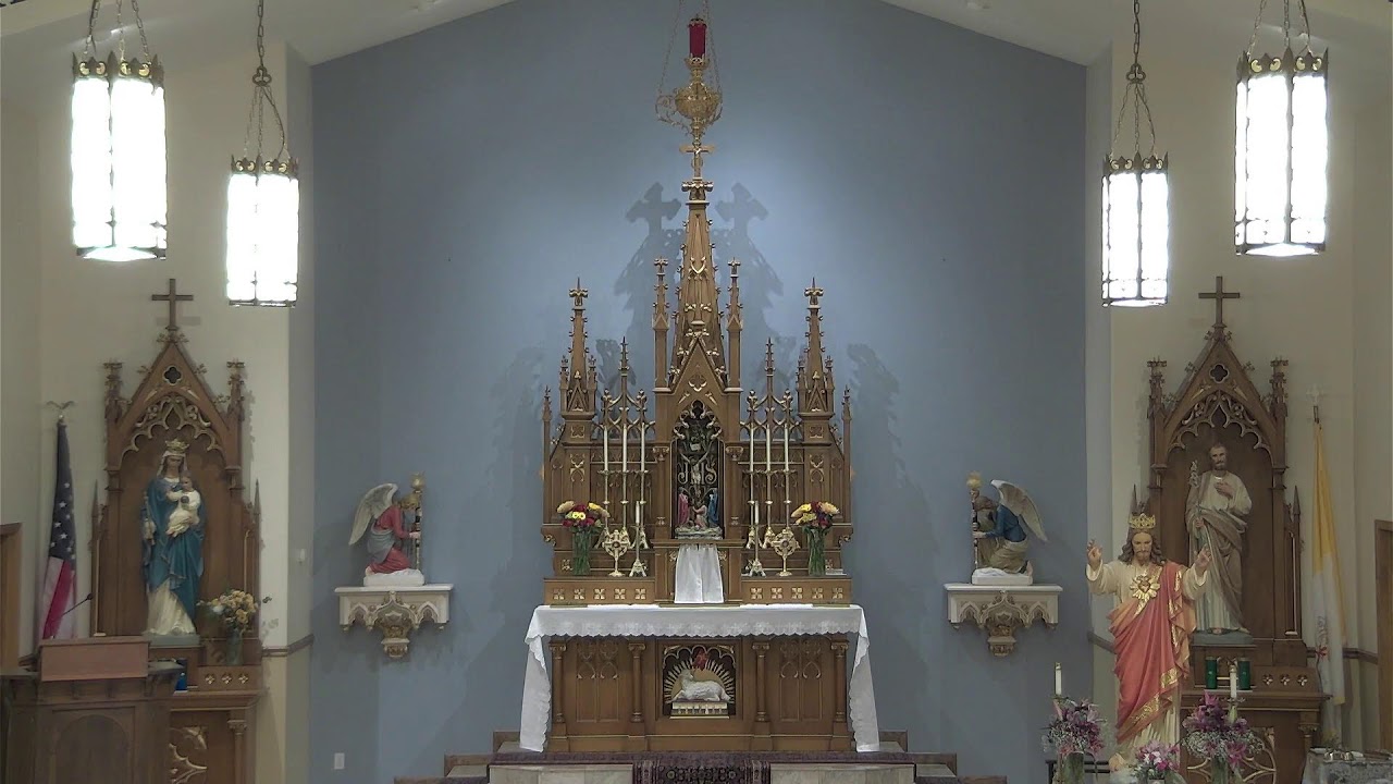 WEDNESDAY, November 20, 2024