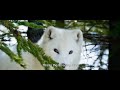Trailer [Subtitled]