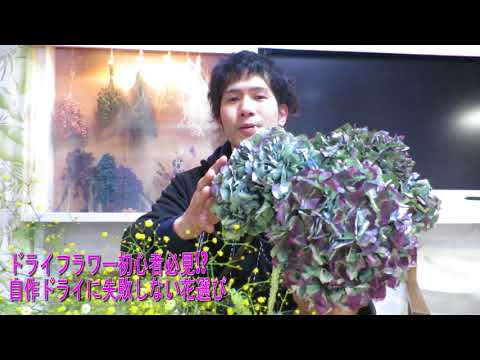 Must-See for Beginners & Those Who Failed] A Florist's Guide: How