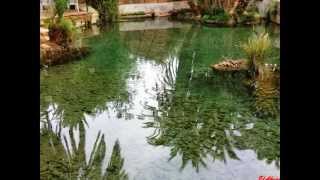 Tinghir Afanour Rachid Ban Ali