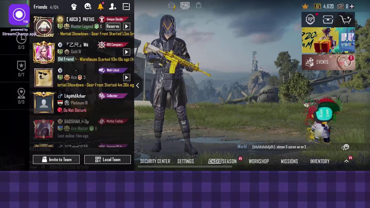 Insane Lion Live Stream