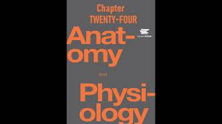 OpenStax Anatomy And Physiology Audiobook Chapter 24 - Read Along