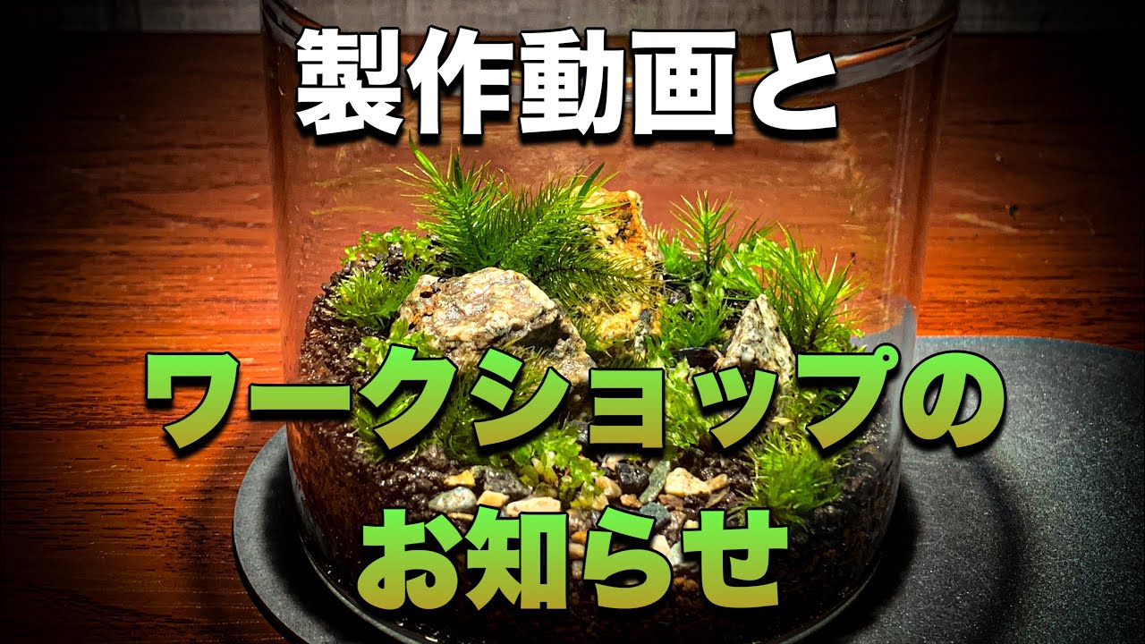 気になる盆栽ございましたらコメントお願いします 作りながらお知らせ📢 - YouTube