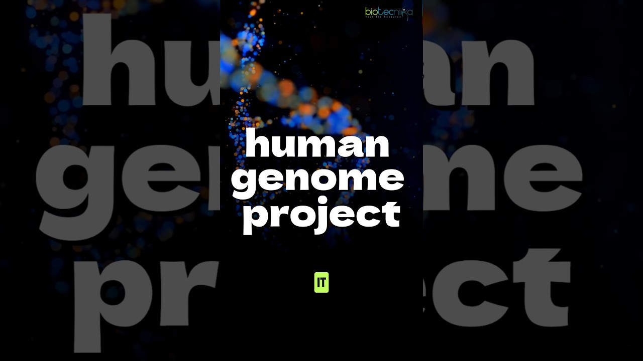 Проект «Геном человека» упрощен за 60 секунд 