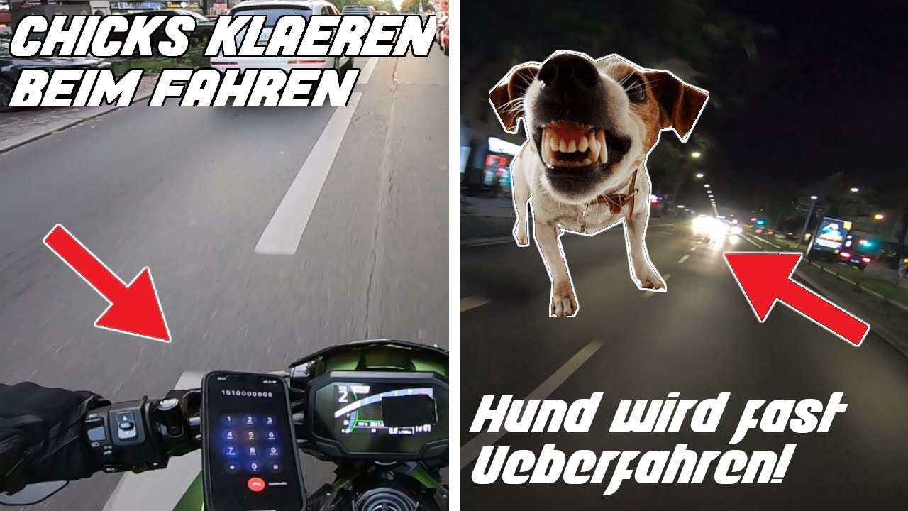 Hund Bellt Autos An Und Rennt Hinterher BASE-CHAT beim FAHREN, HUND rennt mir HINTERHER! - YouTube