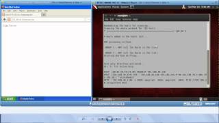 Wegilant - Man-In-The-Middle Attack Net Worth