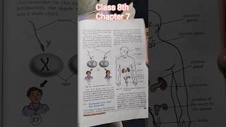 Class 8th Chapter 7 (Reaching the age of Adolescence) #song #music #phonk #growth #science #erik