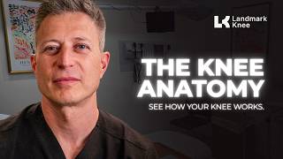 The Knee Anatomy | See How It Works