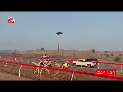 ش 6 داب ل خلفان راشد حمد بن سويف الغفلي شارة الديوان 2025 12 26 حقايق اللبسة