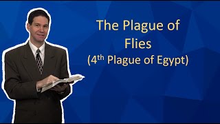 The Plague of Flies - 4th Plague of Egypt