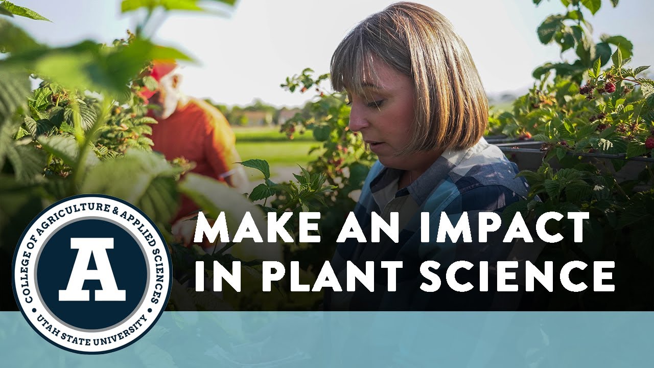 What You Can Do With A Plant Science Degree YouTube what-you-can-do-with-a-plant-science-degree-youtube