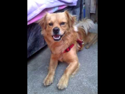 video phone beyonce mp3 My Edited Video