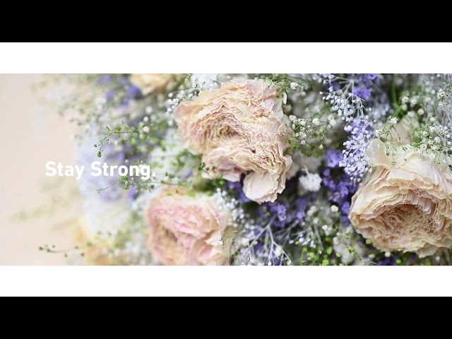 ラナンキュラスのドライフラワースワッグ。 - YouTube