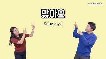 Học tiếng Hàn | Tiếng Hàn Thông Dụng của anh em Ko - 맞아요 Đúng vậy ạ