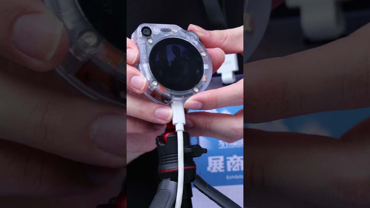 AI Agent: SenseCAP Watcher