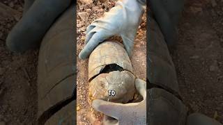 Finding the treasure inside the turtle shell