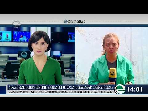 ხანძარი აჯევანიძის ტყეში