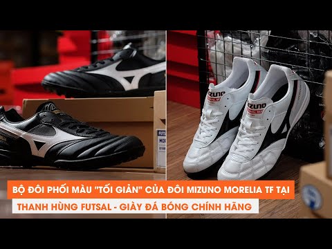 Video Bộ đôi phối màu 