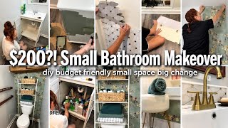 Small Bathroom, BIG Transformation! I Did It for Under $200