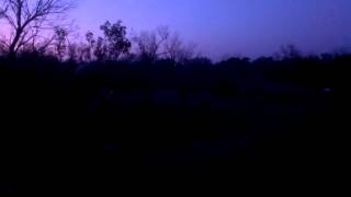 Mini 14 muzzle flash